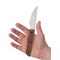Case Cutlery Knife, Case Black Rush Smooth Hardwood Composite Fixed Blade 66661 - alternate 2